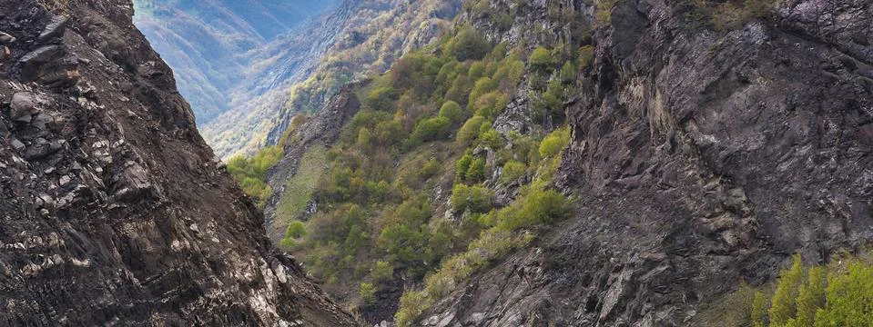 Spring in a mountain gorge Stock Photos