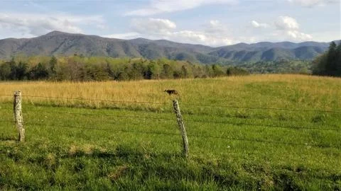 Spring Mountain Landscape 2 Foto stock