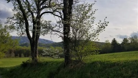 Spring Mountain Landscape 8 Foto stock