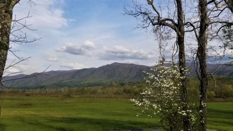 Spring Mountain Landscape 9 Foto stock