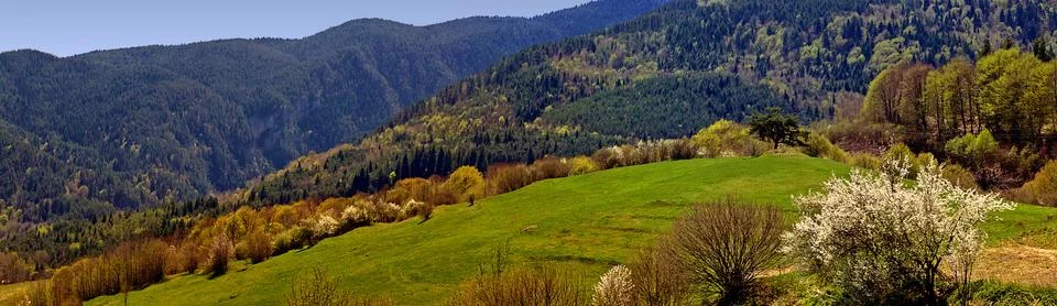 Spring mountain panorama Stock Photos