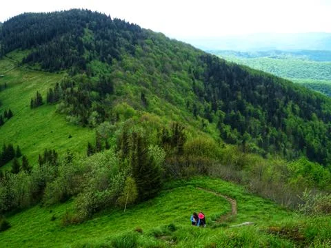 Spring Mountain Peak with Mixed Forest Stock Photos