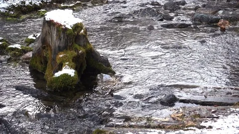 Spring Mountain River Stock Footage