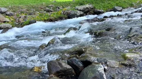 Spring Mountain Stream Babbling Over Rocks Stock Footage 260206952