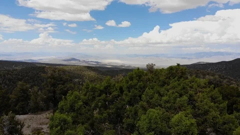 Spring Mountains Aerial View Foreset with Desert Dunes in the background Stock-Footage 92994008