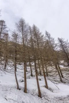 Spring in the mountains with lots of snow Stock Photos
