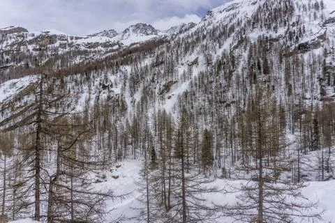 Spring in the mountains with lots of snow Stock Photos