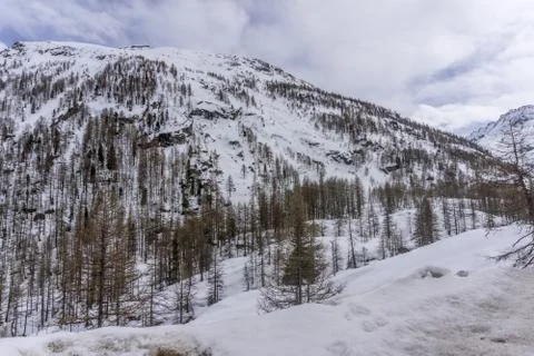 Spring in the mountains with lots of snow Stock Photos