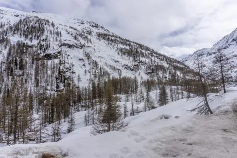 Spring in the mountains with lots of snow Stock Photos