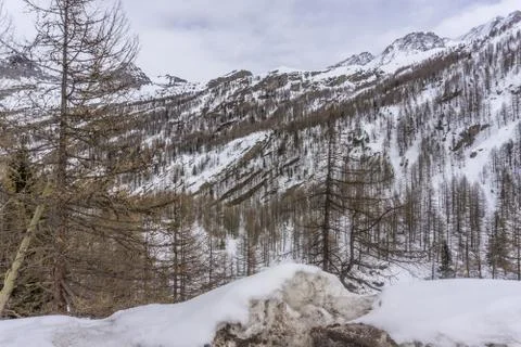 Spring in the mountains with lots of snow Stock Photos