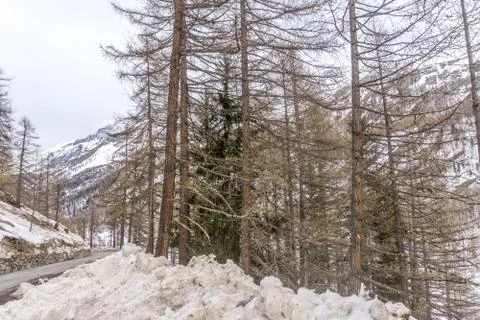 Spring in the mountains with lots of snow Stock Photos