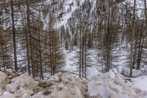 Spring in the mountains with lots of snow Stock Photos