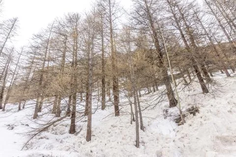 Spring in the mountains with lots of snow Stock Photos
