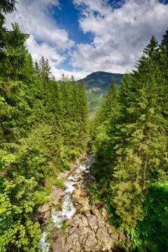 Spring in the mountains 库存照片