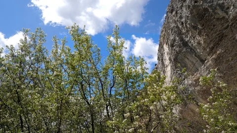 Spring in mountains. Trees are blooming. Sky is blue with clouds. Ancient rocks 스톡 동영상 129247573