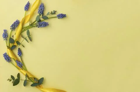 Spring muscari flower composition with eucalyptus over yellow pastel backgrou Foto stock