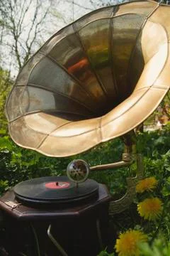 Spring music Stock Photos