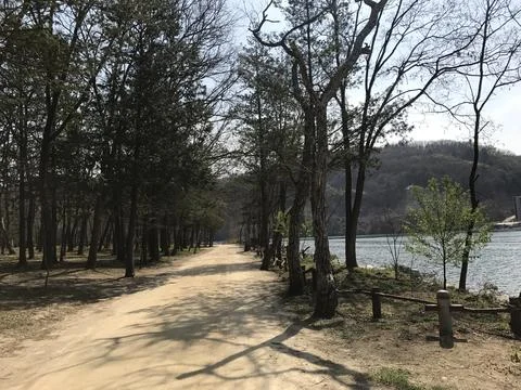 Spring at Nami Island Stock Photos