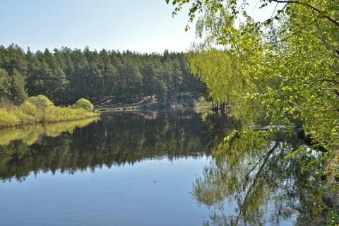 Spring in the national Park. Stock Photos