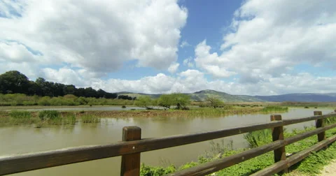 Spring in natural park Stock Footage 49224922