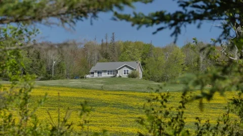 Spring natural scenery in Prince Edward Island, Canada Stock Footage 344828631