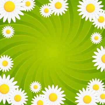 Spring natural twisted vector background with daisy flower Stock-Illustration