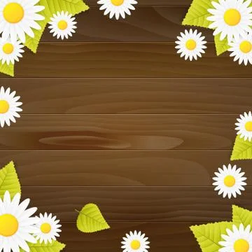 Spring natural vood vector background with daisy flower Ilustração Stock