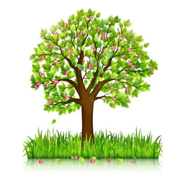 Spring nature background with blooming tree and green grass vector Stock Illustration