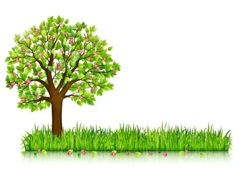 Spring nature background with blossoming tree and green grass vector Stock Illustration