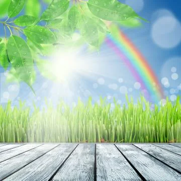 Spring nature background with grass Stock Illustration