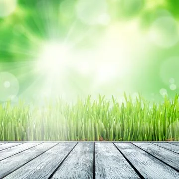 Spring nature background with grass Illustrazione stock