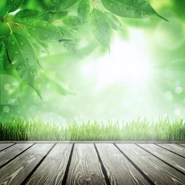 Spring nature background with grass Illustrazione stock