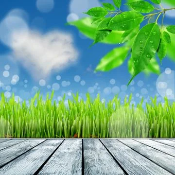 Spring nature background with grass Stock Illustration