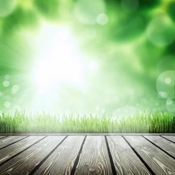 Spring nature background with grass Illustrazione stock