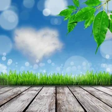 Spring nature background with grass Stock Illustration