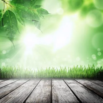 Spring nature background with grass Stock Illustration