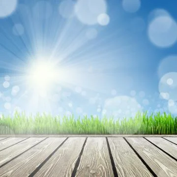 Spring nature background with grass Stock Illustration