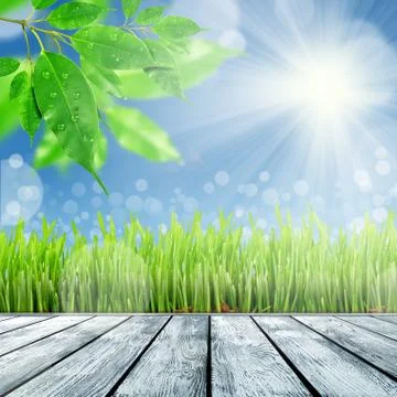 Spring nature background with grass Stock Illustration