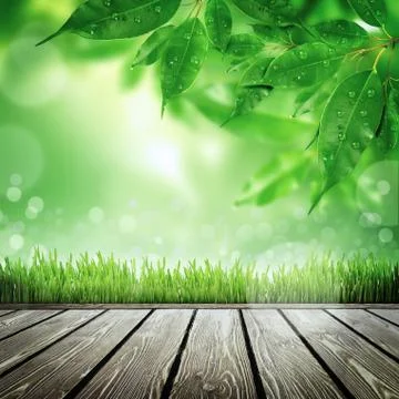 Spring nature background with grass Stock Illustration