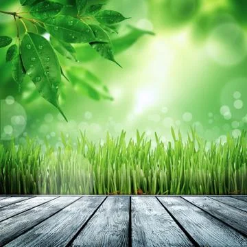 Spring nature background with grass Stock Illustration