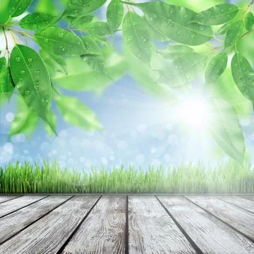 Spring nature background with grass Illustrazione stock