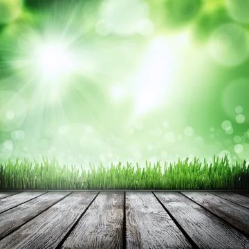 Spring nature background with grass Illustrazione stock