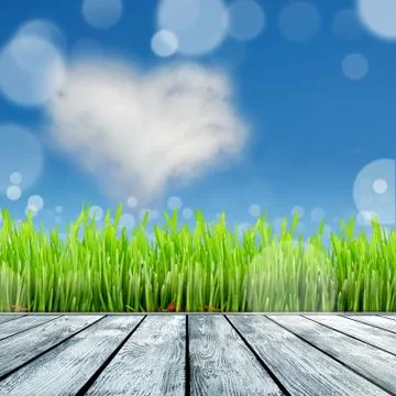 Spring nature background with grass Stock Illustration
