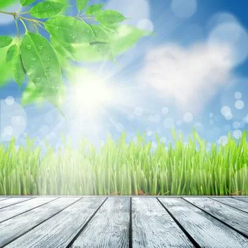 Spring nature background with grass Illustrazione stock