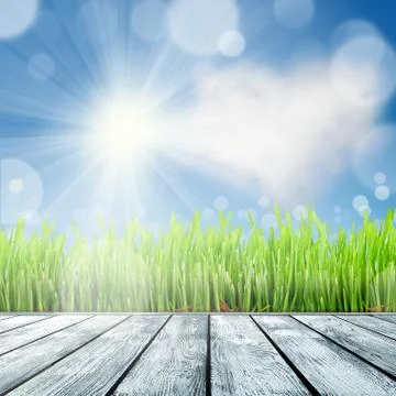 Spring nature background with grass Stock Photos