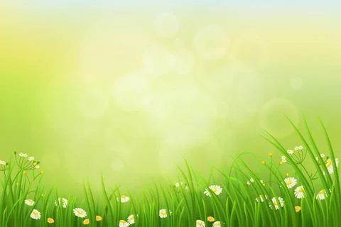 Spring nature background with green grass, herbs and flowers イラスト素材