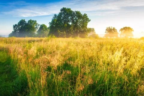 Spring nature background Stock Photos