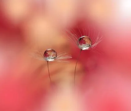 Spring Nature Blossom Web Banner or Header.Artistic Pink Background. Stock Photos