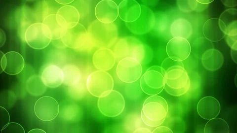 Spring Nature Bokeh Stock Footage 91055695