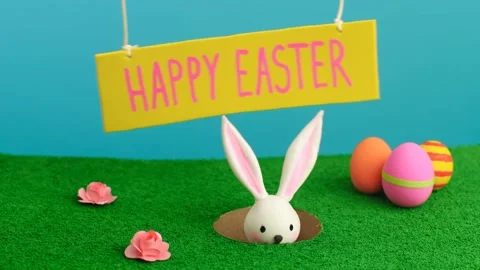 Spring nature Easter holiday minimal concept Stock Footage 146216996